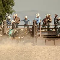 Como apostar em vaquejada? Melhores sites e dicas para iniciantes