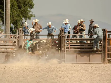Como apostar em vaquejada? Melhores sites e dicas para iniciantes