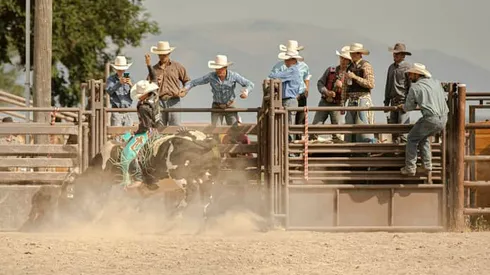 A vaquejada também encontra mercados em casas de apostas brasileiras | Crédito: iStock