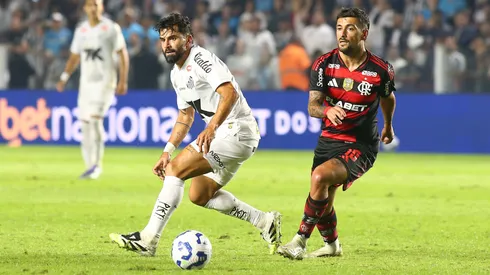 Flamengo x Santos se enfrentam pelo Campeonato Brasileiro A 2025. Foto: Mauricio De Souza/AGIF