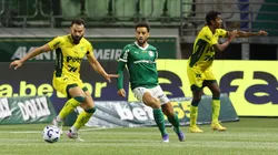 Mirassol x Palmeiras se enfrentam neste domingo (9)