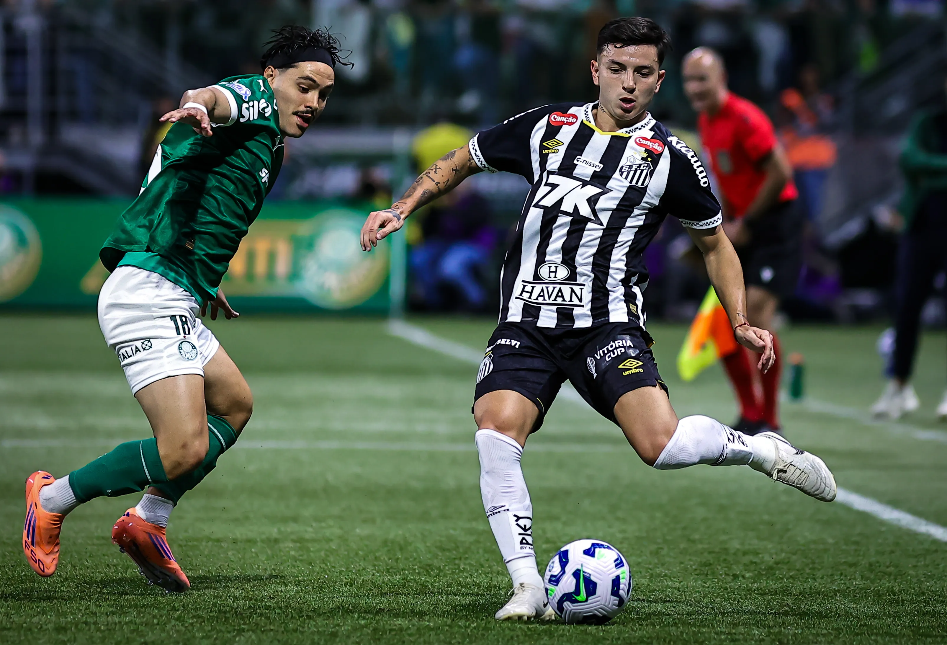 Palmeiras vem de vitória sobre o Santos. Foto: Fabio Giannelli/AGIF