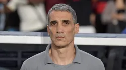 Vojvoda, treinador do Santos