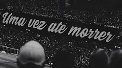 Torcida do Galo. Foto: Divulgação