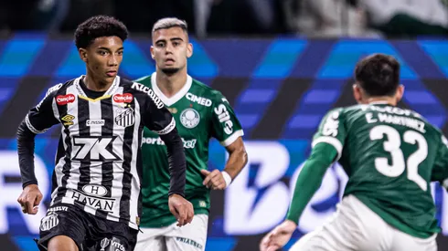 Santos x Palmeiras se enfrentam pelo Brasileirão 2025. Foto: Raul Baretta/ Santos FC