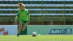 Palmeiras se prepara para treino aberto antes da final da Copa do Brasil - Foto: Paloma Cassiano/Palmeiras
