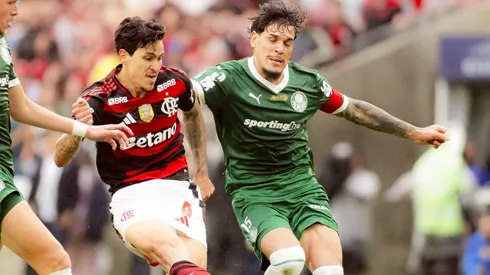 Flamengo x Palmeiras. Foto: Adriano Fontes/Flamengo