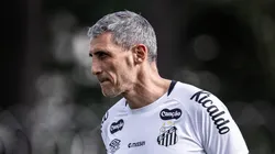 Vojvoda está comandando seu segundo clube no Brasil