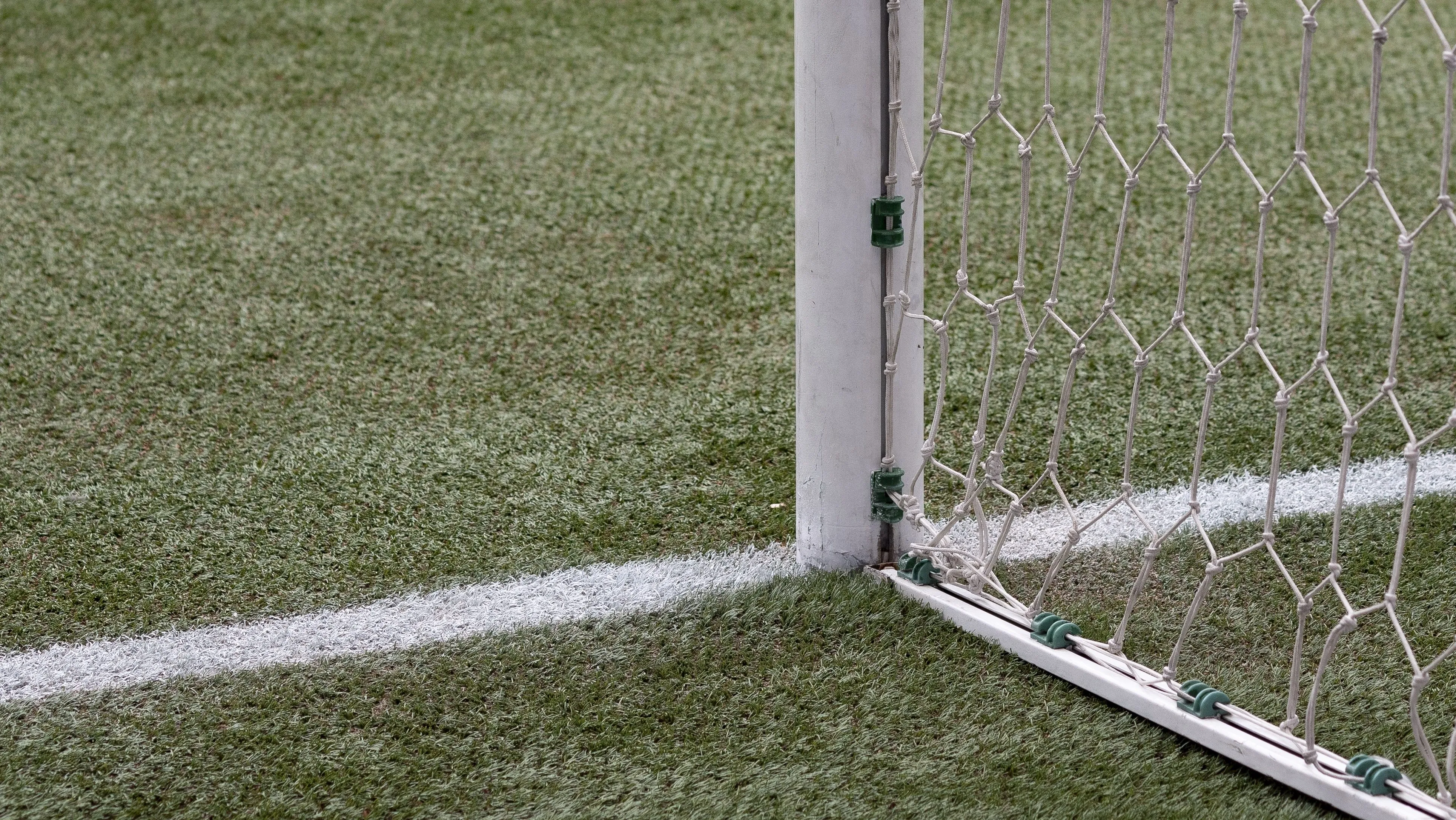 Gramado sintético do Allianz Parque. Foto: Anderson Romão/AGIF