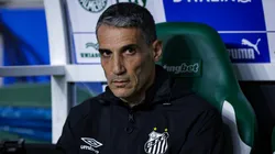 Vojvoda, treinador do Santos