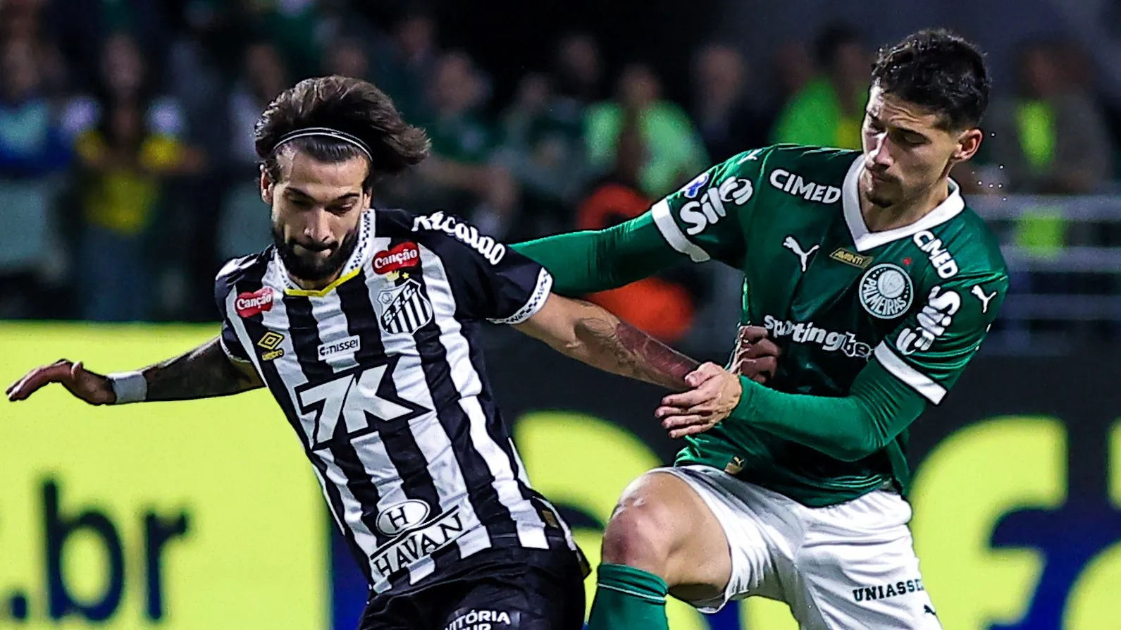 Palmeiras x Santos - Foto: Fabio Giannelli/AGIF.