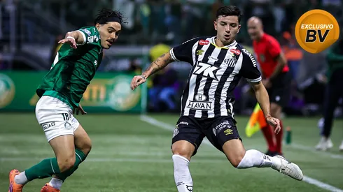 Santos e Palmeiras se enfrentam pelo Brasileirão. Foto: Fabio Giannelli/AGIF