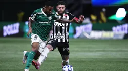 Santos x Palmeiras. Foto: Ettore Chiereguini/AGIF