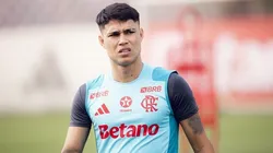 Luiz Araujo - Foto: Flickr Flamengo