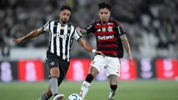 Botafogo não perdoa e provoca Flamengo em pleno aniversário de 77 anos do rival — Foto Jorge RodriguesAGIF