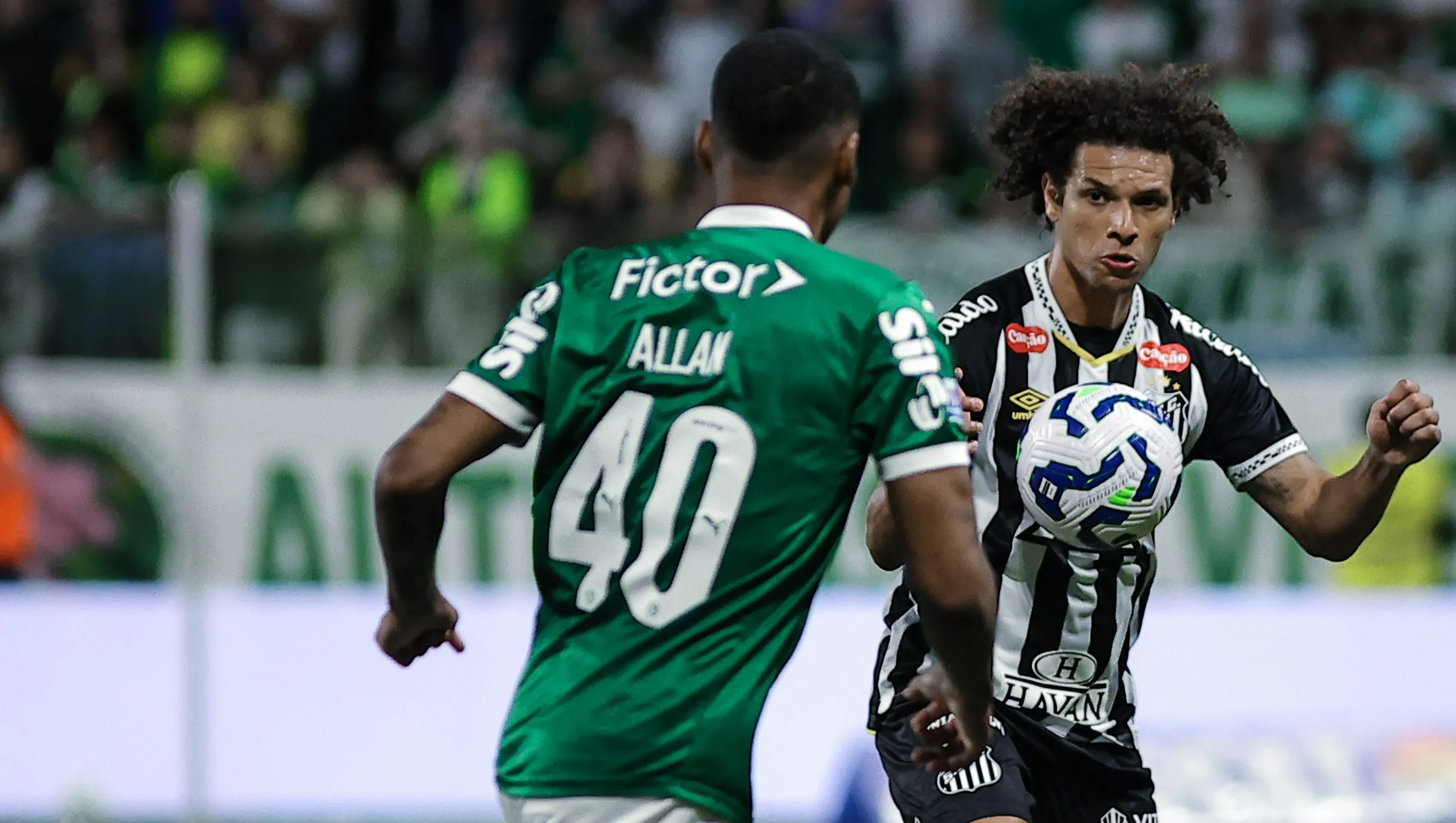 Allan jogador do Palmeiras disputa lance com William Arao jogador do Santos durante partida no estadio Arena Allianz Parque pelo campeonato Brasileiro A 2025. Foto: Fabio Giannelli/AGIF