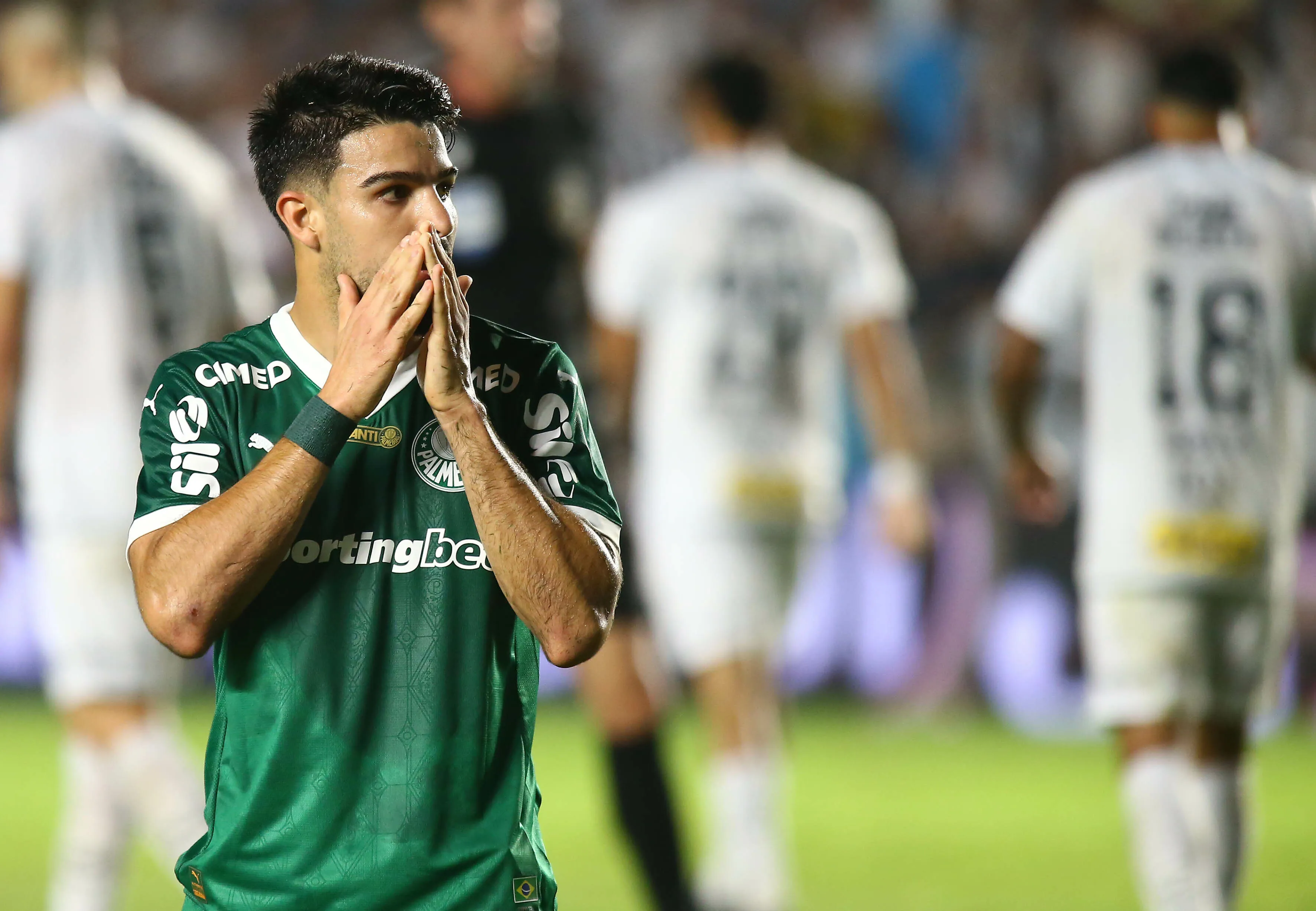 Flaco López entrou no segundo tempo e melhorou o Palmeiras. Foto: Mauricio De Souza/AGIF