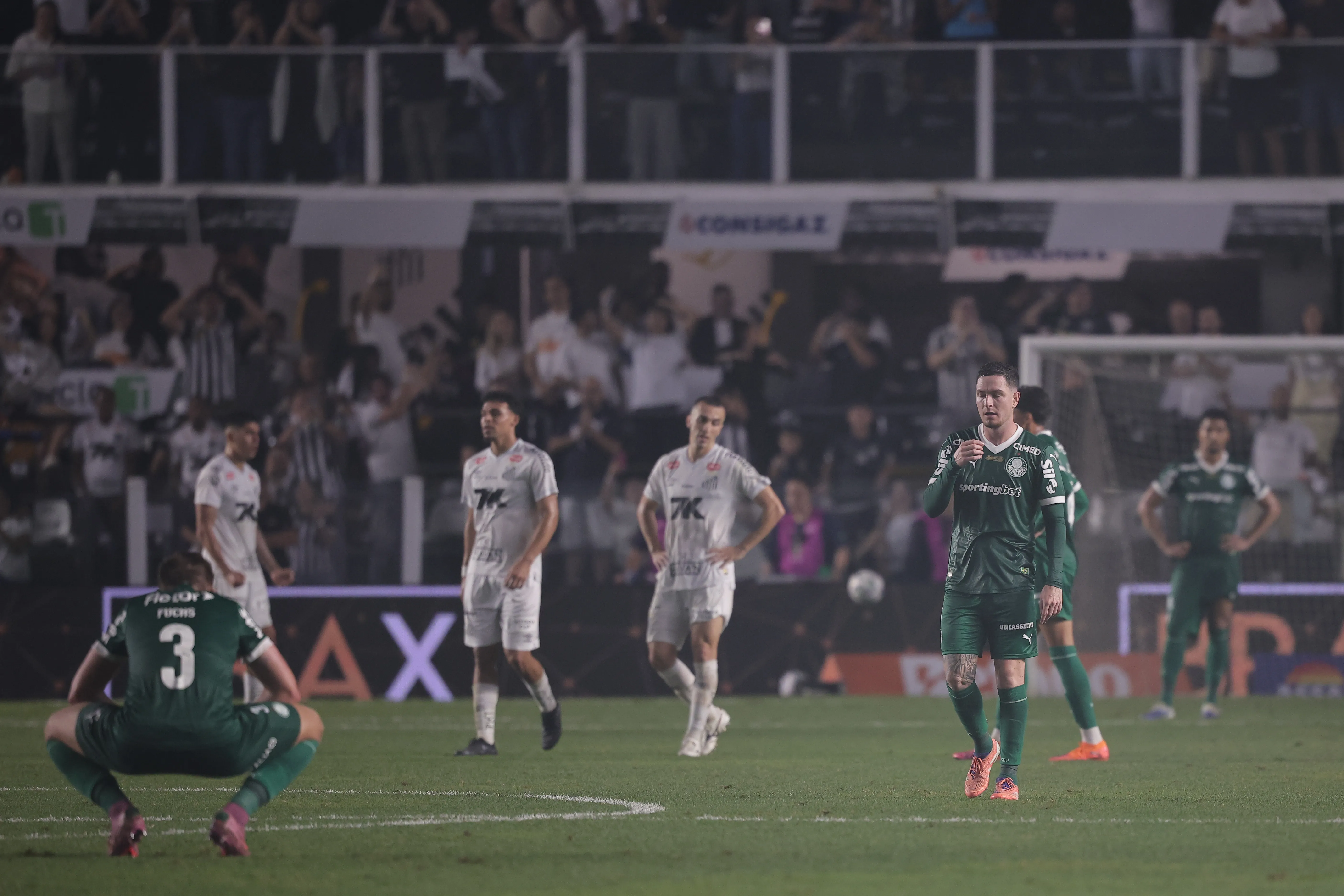 Santos bate o Palmeiras e sair do Z4. Foto: Ettore Chiereguini/AGIF