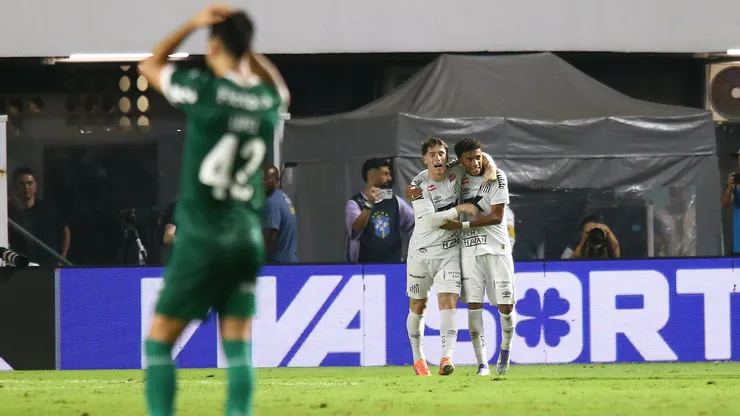 SP - SANTOS - 15/11/2025 - BRASILEIRO A 2025, SANTOS X PALMEIRAS - Benjamin Rollheiser jogador do Santos comemora seu gol com Robinho JR jogador da sua equipe durante partida contra o Palmeiras no estadio Vila Belmiro pelo campeonato Brasileiro A 2025. Foto: Mauricio De Souza/AGIF
