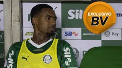 Allan Elias jogador do Palmeiras durante partida contra o Vasco no estádio Arena Allianz Parque pelo campeonato Brasileiro A 2025. Foto: Anderson Romão/AGIF