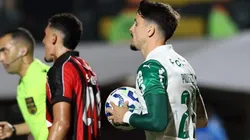 Palmeiras enfrenta o Vitória no Allianz Parque precisando urgentemente dos três pontos para se manter vivo na briga pelo título brasileiro - Foto: César Greco/Ag. Palmeiras