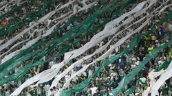 Torcida do Palmeiras. (Photo by Ricardo Moreira/Getty Images)