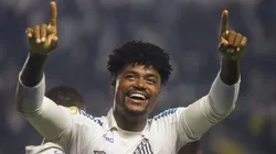 Eduardo Bauermann tem passagem pelo Santos - Foto: Fernanda Luz/AGIF.