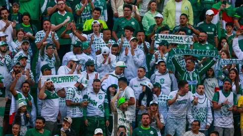 Torcida do Palmeiras durante partida contra Juventude no estadio Alfredo Jaconi pelo campeonato Brasileiro A 2025. Foto: Luiz Erbes/AGIF