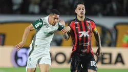 Vitória x Palmeiras em 2025. Foto: Jhony Pinho/AGIF