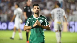 Palmeiras busca manter longa invencibilidade no Allianz em duelo decisivo contra o Vitória — Foto Mauricio De SouzaAGIF