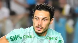 Veiga durante partida do Palestra na Vila Belmiro