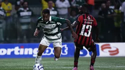 Palmeiras x Vitória. Foto: Ettore Chiereguini/AGIF