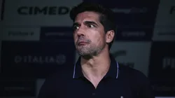 SP - SAO PAULO - 19/11/2025 - BRASILEIRO A 2025, PALMEIRAS X VITORIA - Abel Ferreira tecnico do Palmeiras durante partida contra o Vitoria no estadio Arena Allianz Parque pelo campeonato Brasileiro A 2025. Foto: Ettore Chiereguini/AGIF