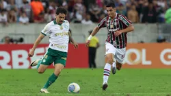 Palmeiras busca vitória contra o Fluminense para pressionar líder Flamengo no Brasileirão - Foto: CÉSAR GRECO/AG. PALMEIRAS