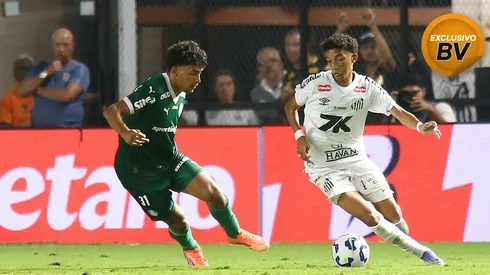 Santos teve desempenho ruim nos clássicos. Foto: Mauricio De Souza/AGIF