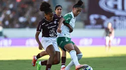 Ferroviária e Palmeiras se enfrentam na semifinal do estadual - Foto: Rebeca Reis/Staff Images Woman/CBF
