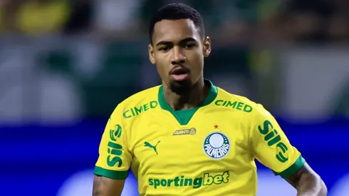 Palmeirenses pediram pênalti de Canobbio diante de Allan (foto)