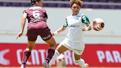 Ferroviária x Palmeiras. Foto: Celio Messias/Ag. Paulistão