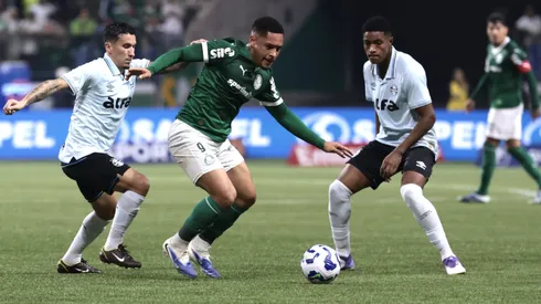 Grêmio x Palmeiras. Foto: Marcello Zambrana/AGIF