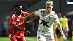 Rollheiser jogador do Santos durante partida contra o Internacional no estadio Vila Belmiro pelo campeonato Brasileiro A 2025. Foto: Jota Erre/AGIF