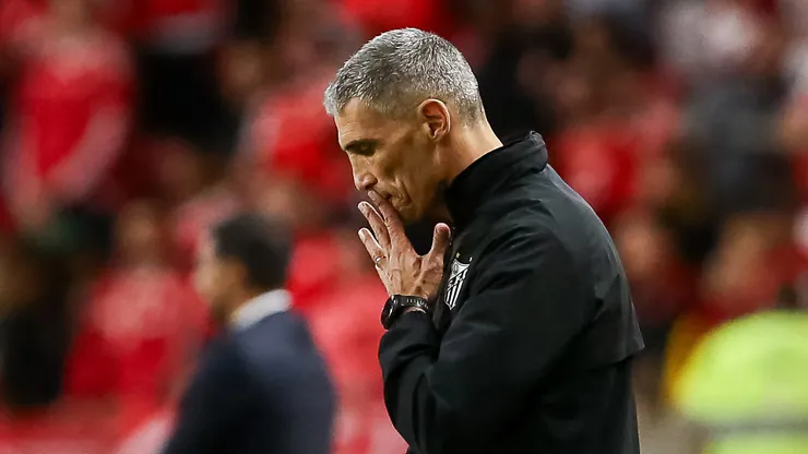 Vojvoda, técnico do Santos em partida pelo campeonato brasileiro (Foto: Pedro H. Tesch/Getty Images)