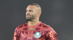 RJ - RIO DE JANEIRO - 17/08/2025 - BRASILEIRO A 2025, BOTAFOGO X PALMEIRAS - Weverton goleiro do Palmeiras durante partida contra o Botafogo no estadio Engenhao pelo campeonato Brasileiro A 2025.