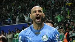 Weverton, goleiro do Palmeiras em partida pelo campeonato brasileiro (Foto: Alexandre Schneider/Getty Images)