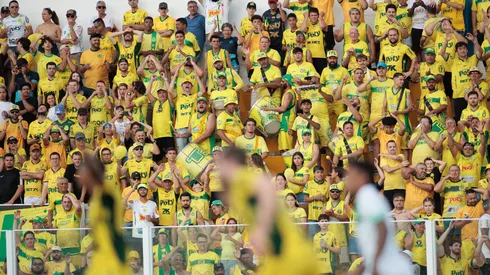 Torcida do Mirassol vem fazendo a diferença neste Brasileirão