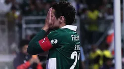 Queda do Palmeiras em novembro é pior que crise enfrentada pelo Botafogo no mesmo período de 2023