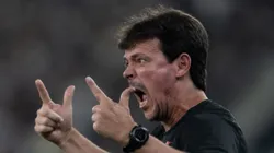 - Fernando Diniz tecnico do Vasco durante partida contra o Botafogo no estadio Engenhao pelo campeonato Brasileiro A 2025.