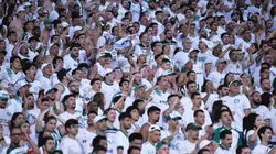 Torcida do Palmeiras no Allianz Parque - Foto: Ettore Chiereguini/AGIF