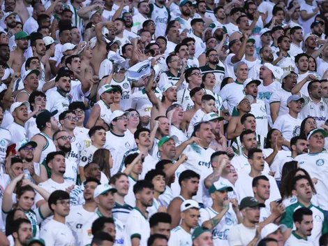 Torcedor do Palmeiras morre em acidente às vésperes da final