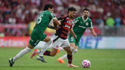 Palmeiras e Flamengo vão se enfrentar pela final da Libertadores - Foto: Thiago Ribeiro/AGIF