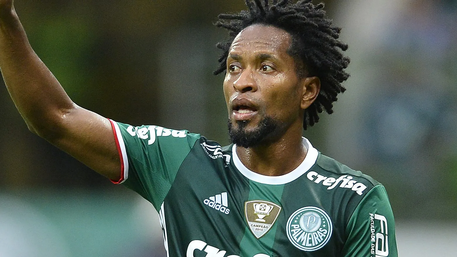 Zé Roberto. Foto: Mauro Horita/AGIF